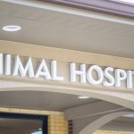 animal hospitals in Greer SC