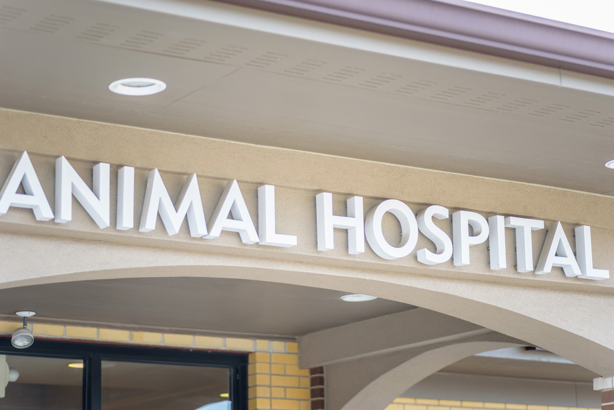 animal hospitals in Greer SC